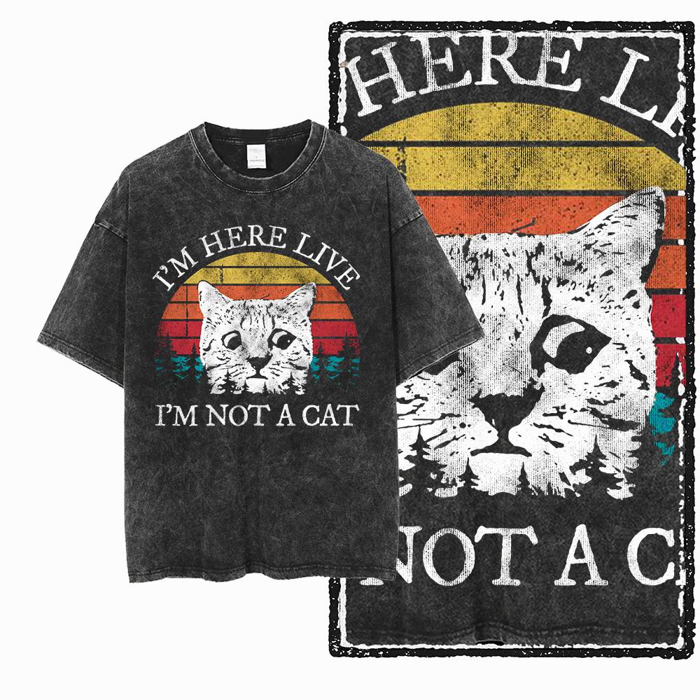 Мужская футболка G55 Acid Wash – обзор и цена Acid Wash Vintage Graphic T Shirt